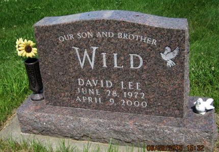 WILD, DAVID LEE - Dallas County, Iowa | DAVID LEE WILD 