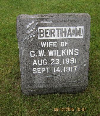 WILKINS, BERTHA M - Dallas County, Iowa | BERTHA M WILKINS 