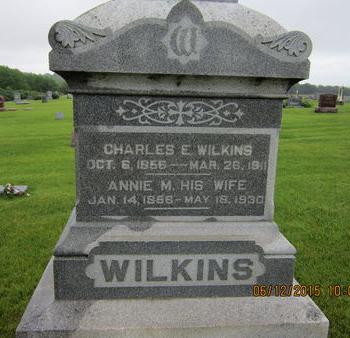 WILKINS, ANNIE M - Dallas County, Iowa | ANNIE M WILKINS 