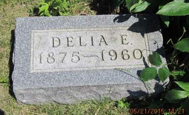 WILKINS, DELIA E - Dallas County, Iowa | DELIA E WILKINS 