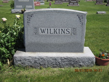 WILKINS, FAMILY STONE - Dallas County, Iowa | FAMILY STONE WILKINS 