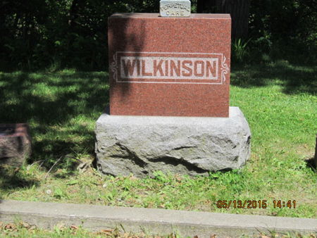 WILKINSON, FAMILY STONE - Dallas County, Iowa | FAMILY STONE WILKINSON 