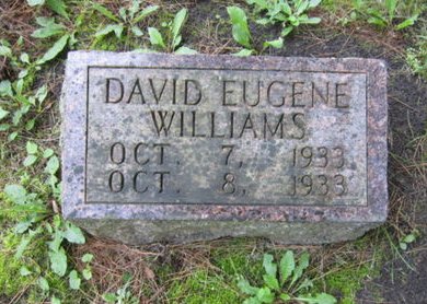 WILLIAMS, DAVID EUGENE - Dallas County, Iowa | DAVID EUGENE WILLIAMS 