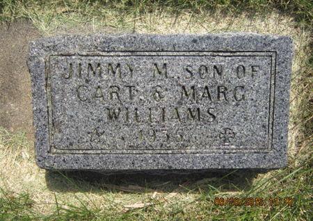 WILLIAMS, JIMMY M - Dallas County, Iowa | JIMMY M WILLIAMS 