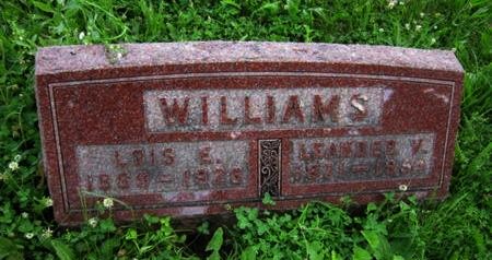 WILLIAMS, LEANDER V - Dallas County, Iowa | LEANDER V WILLIAMS 