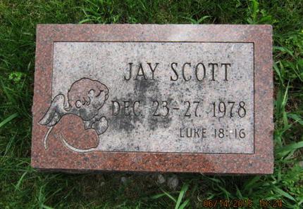 WILLRICH, JAY SCOTT - Dallas County, Iowa | JAY SCOTT WILLRICH 