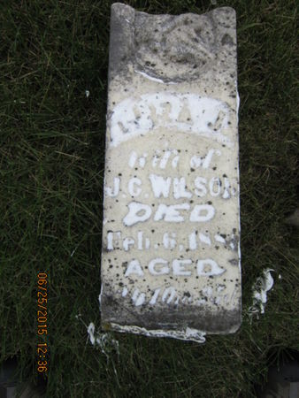 WILSON, ELIZA J - Dallas County, Iowa | ELIZA J WILSON 