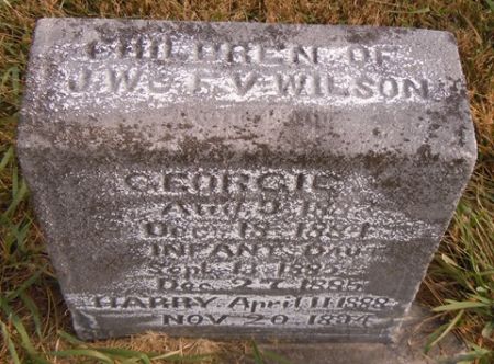 WILSON, HARRY - Dallas County, Iowa | HARRY WILSON 