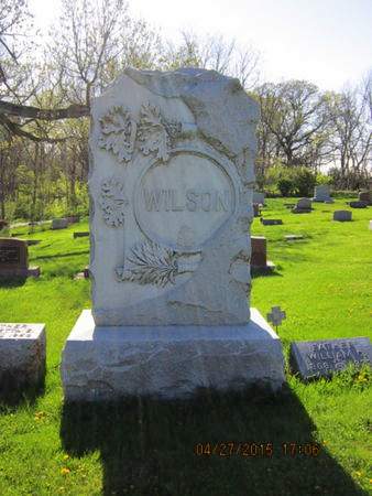 WILSON, FAMILY STONE - Dallas County, Iowa | FAMILY STONE WILSON 