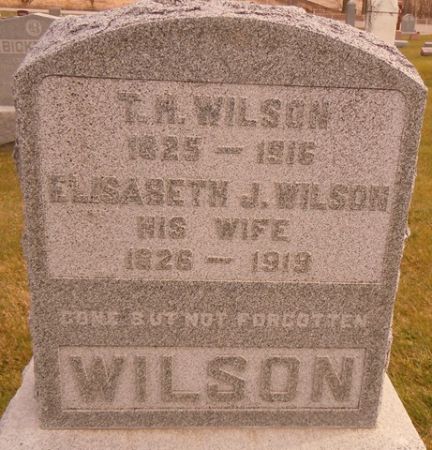 WILSON, ELISABETH J. - Dallas County, Iowa | ELISABETH J. WILSON 