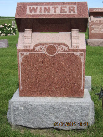 WINTER, FAMILY STONE - Dallas County, Iowa | FAMILY STONE WINTER 