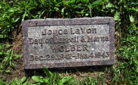 WOLBER, JOYCE LAVON - Dallas County, Iowa | JOYCE LAVON WOLBER 