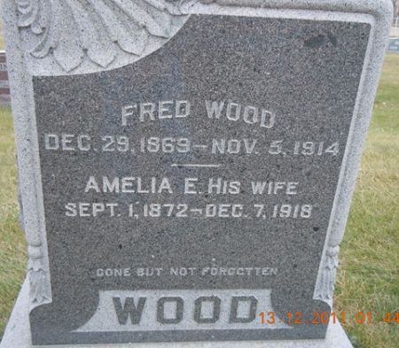 WOOD, AMELIA E. - Dallas County, Iowa | AMELIA E. WOOD 