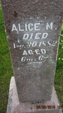 WORSHAM, ALICE M - Dallas County, Iowa | ALICE M WORSHAM 