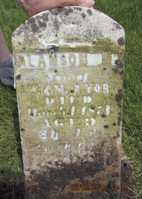 YORK, ALANSON M - Dallas County, Iowa | ALANSON M YORK 