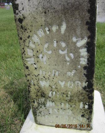 YORK, MARGARET ANN - Dallas County, Iowa | MARGARET ANN YORK 