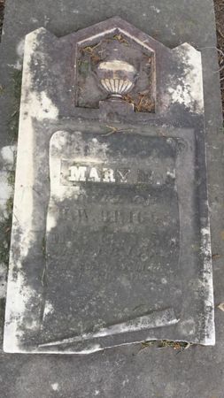 BRIGGS, MARY M - Davis County, Iowa | MARY M BRIGGS 