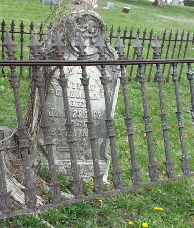 HAGAN, SARAH ANGELINE - Davis County, Iowa | SARAH ANGELINE HAGAN 