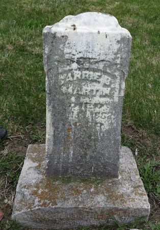 MARTIN, CARRIE B - Davis County, Iowa | CARRIE B MARTIN 