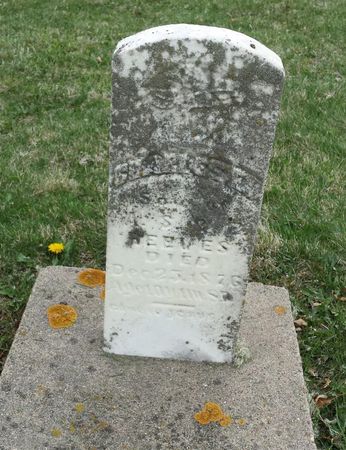 REEVES, CHARLES E - Davis County, Iowa | CHARLES E REEVES 
