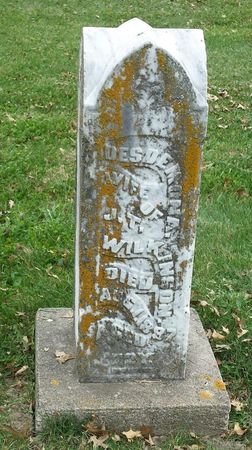 WILKINSON, DESDEMONA - Davis County, Iowa | DESDEMONA WILKINSON 