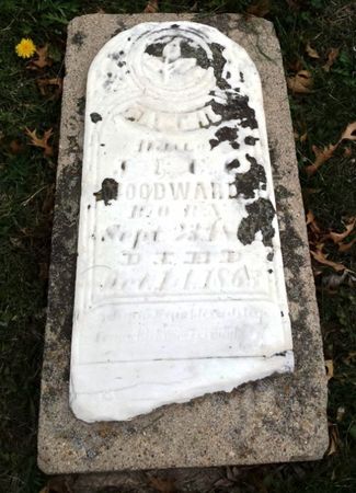 WOODWARD, FANNIE - Davis County, Iowa | FANNIE WOODWARD 