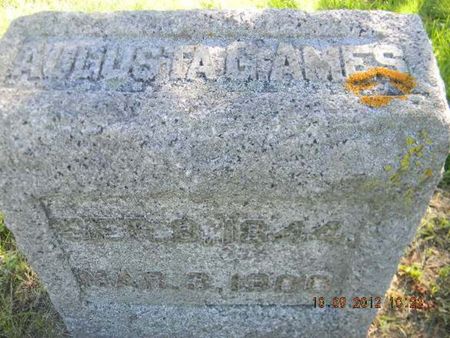 VAN DUYN AMES, AUGUSTA G. - Delaware County, Iowa | AUGUSTA G. VAN DUYN AMES 