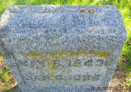 AMES, WILLIAM A. - Delaware County, Iowa | WILLIAM A. AMES 