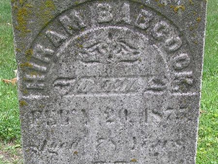 BABCOOK, HIRAM - Delaware County, Iowa | HIRAM BABCOOK 