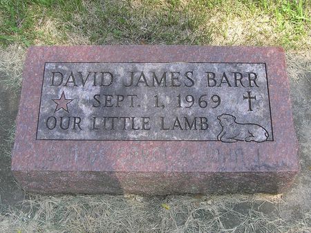 BARR, DAVID JAMES - Delaware County, Iowa | DAVID JAMES BARR 