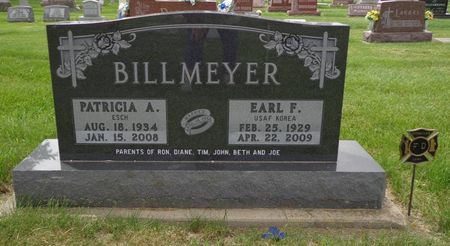 BILLMEYER, PATRICIA A. - Delaware County, Iowa | PATRICIA A. BILLMEYER 