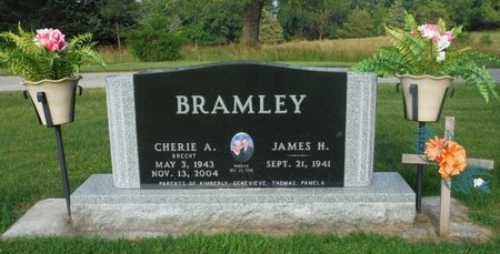 BRECHT BRAMLEY, CHERI ANN - Delaware County, Iowa | CHERI ANN BRECHT BRAMLEY 