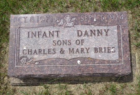 BRIES, DANNY - Delaware County, Iowa | DANNY BRIES 