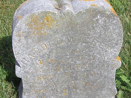 CHILDS, HAROLD WILBERT - Delaware County, Iowa | HAROLD WILBERT CHILDS 