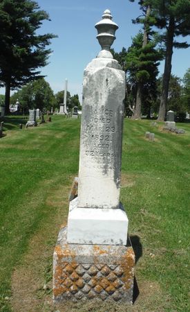 COUSINS, ALICE - Delaware County, Iowa | ALICE COUSINS 