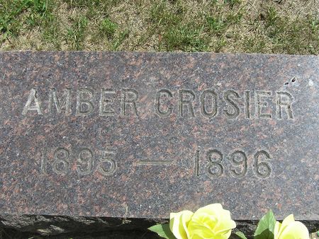 CROSIER, AMBER - Delaware County, Iowa | AMBER CROSIER 