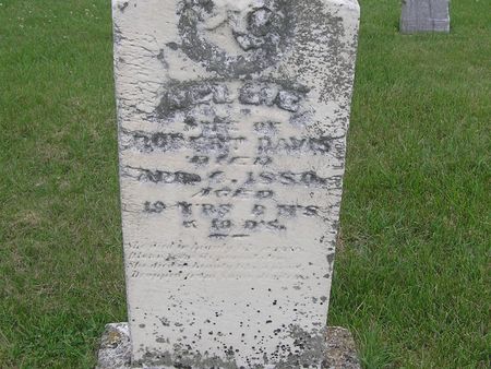 DAVIS, NELLIE - Delaware County, Iowa | NELLIE DAVIS 