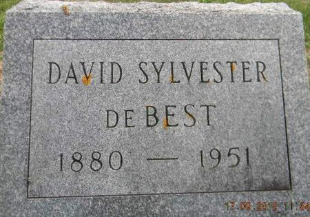 DE BEST, DAVID SYLVESTER - Delaware County, Iowa | DAVID SYLVESTER DE BEST 