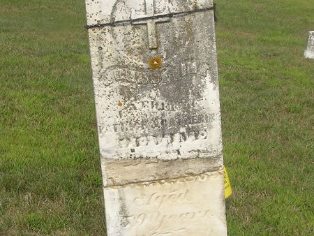 DEVINE, JOHN - Delaware County, Iowa | JOHN DEVINE 