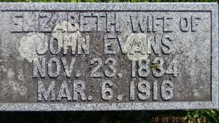 JONES EVANS, ELIZABETH - Delaware County, Iowa | ELIZABETH JONES EVANS 