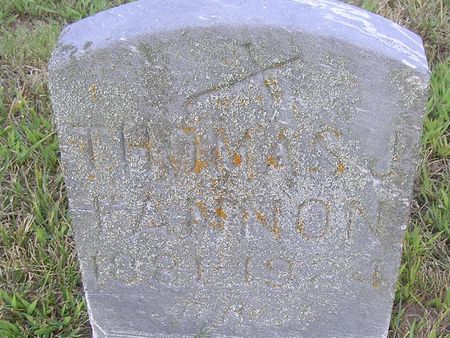 FANNON, THOMAS J. - Delaware County, Iowa | THOMAS J. FANNON 