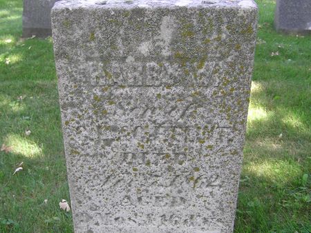 FLINT, HARRY W. - Delaware County, Iowa | HARRY W. FLINT 