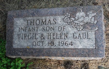GAUL, THOMAS - Delaware County, Iowa | THOMAS GAUL 