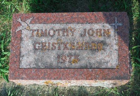 GEISTKEMPER, TIMOTHY JOHN - Delaware County, Iowa | TIMOTHY JOHN GEISTKEMPER 
