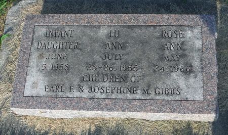 GIBBS, LU ANN - Delaware County, Iowa | LU ANN GIBBS 