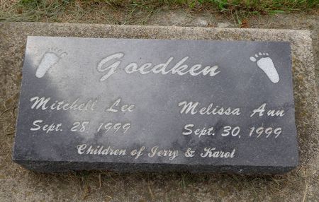 GOEDKEN, MELISSA ANN - Delaware County, Iowa | MELISSA ANN GOEDKEN 