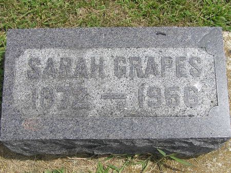 GRAPES, SARAH - Delaware County, Iowa | SARAH GRAPES 