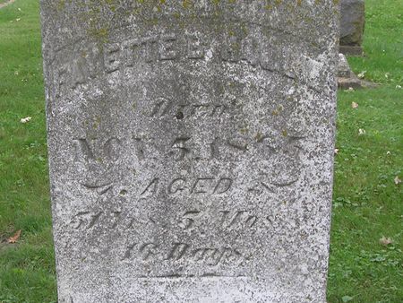 HAMLIN, FAYETTE B. - Delaware County, Iowa | FAYETTE B. HAMLIN 