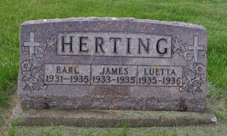 HERTING, EARL - Delaware County, Iowa | EARL HERTING 