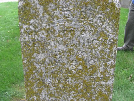 BEMIS HICKS, LUCY - Delaware County, Iowa | LUCY BEMIS HICKS 